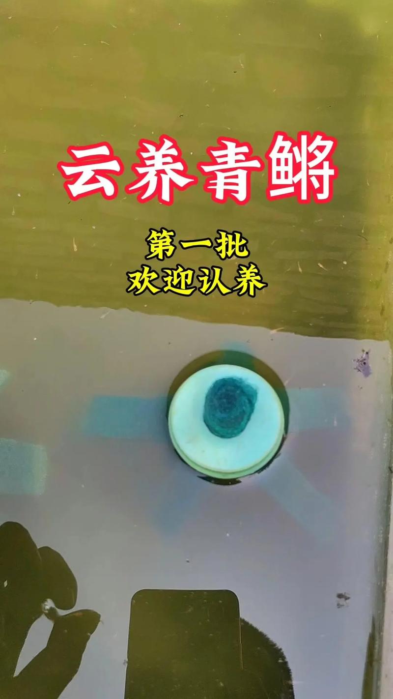 央视曝光云养殖骗局,央视曝光云养殖骗局是真的吗