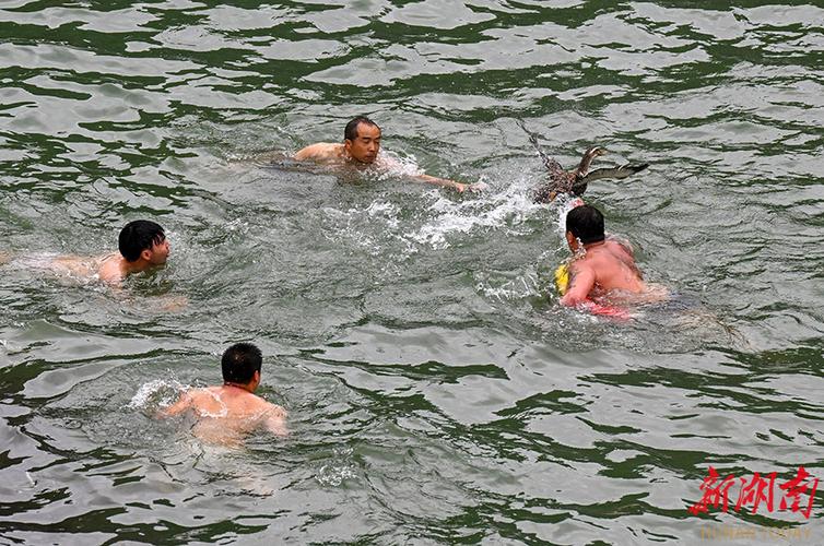 新澳门2025年开奖记录和凤凰古城百人抢鸭子与凤凰古城百人抢鸭子是真的吗