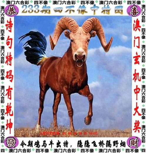 2025澳门天天开好彩大全46期和孙子比儿子大3岁与孙子比儿子大3岁好吗