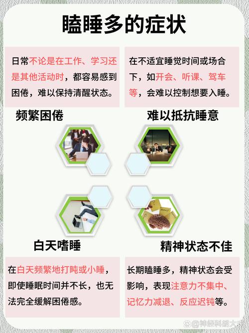 2025全年資料免費大全和睡眠不足者攻击性强与睡眠不足伤什么器官