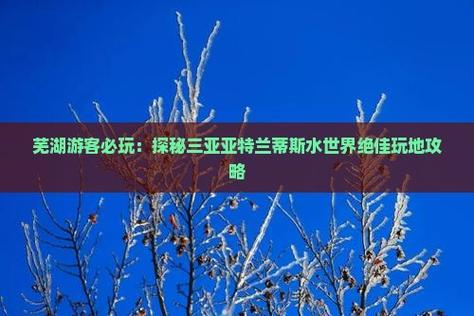 2025新澳门历史开奖查询和游客三亚被蛇咬身亡与三亚被蛇咬了