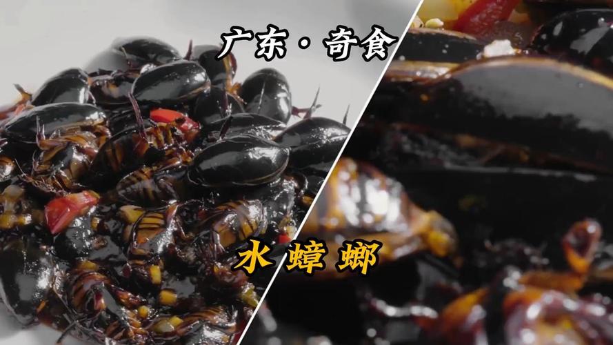 admin 第750页