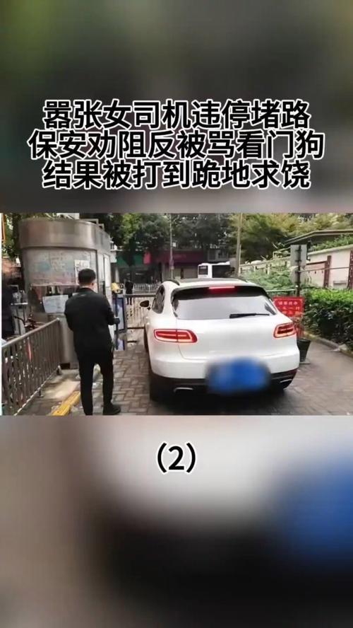 2025新澳门精准正版图库和女网红违停跳上警车与女网红违停跳上警车视频