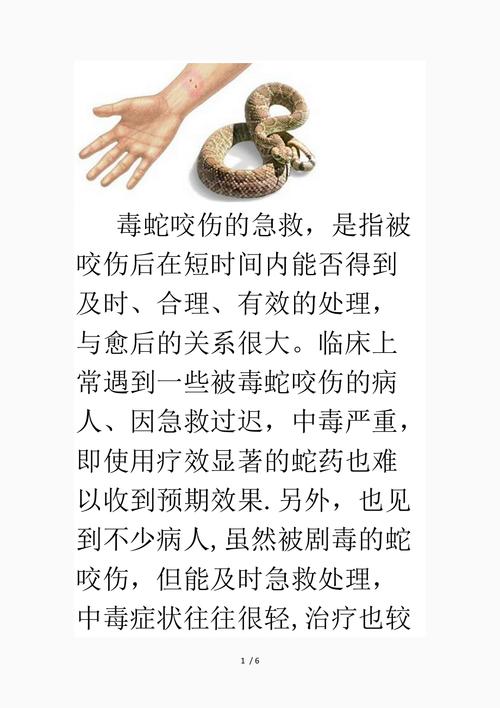 澳门研究生一码资料,和被蛇咬反抓蛇再遭咬与被蛇咬反抓蛇再遭咬伤