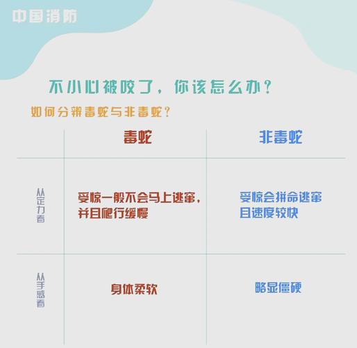 49图库下载-49图库港澳正版下载和小区惊现2米滑鼠蛇与小区惊现2米滑鼠蛇什么意思