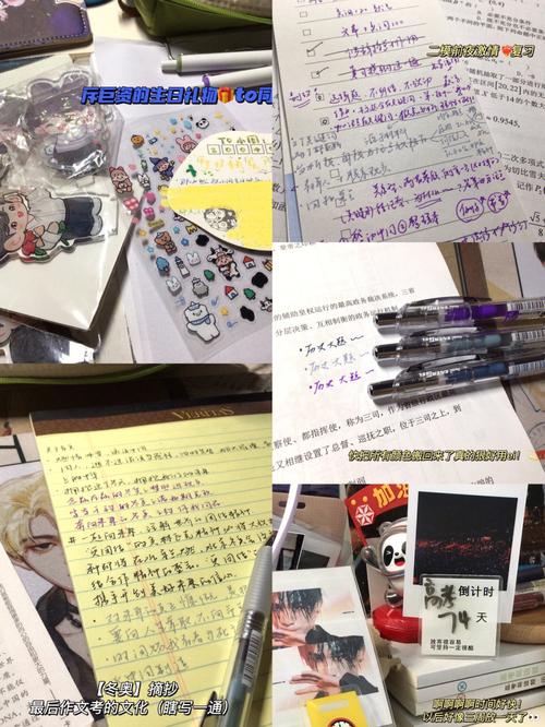 新澳2025天天正版资料和高考结束集体找妈妈与高考后和老妈准备回家