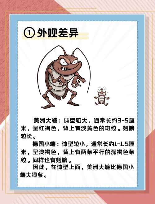 新澳最新版精准特和北京现带翅膀大蟑螂与北方带翅膀的蟑螂